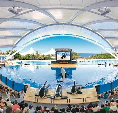 Cristianos - San Telmo * Arona (Tenerife)