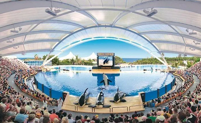 Cristianos - San Telmo * Arona (Tenerife)